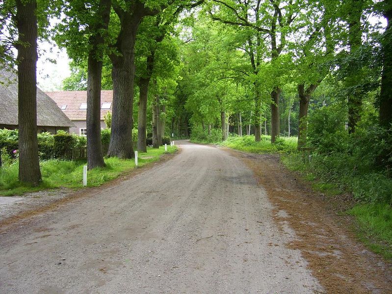 hilvarenbeek 159