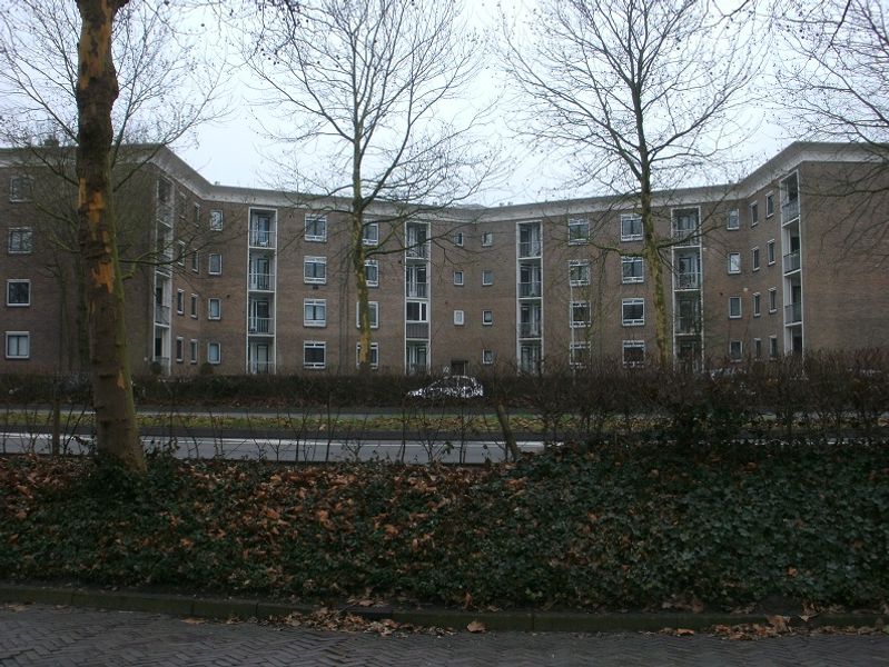 BILD0005