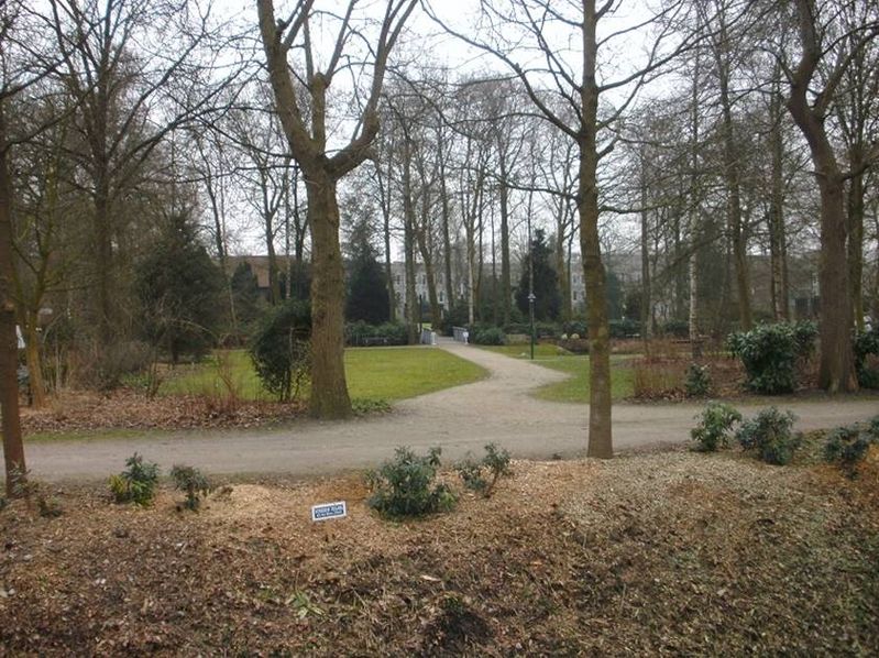BILD0011